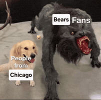 Chicago Bears GIF
