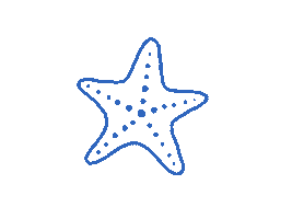 Seestern Sticker by Lisawebdesign