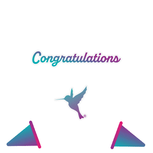 Congratulations Balloons Sticker by The Colibri Collective