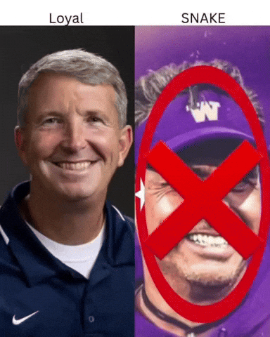 Arizona Football GIF