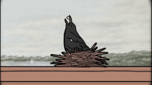 Bird Rl GIF