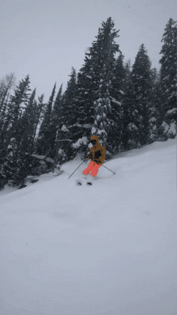 Snow Ski GIF by CommuniSki