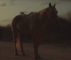Prime Video Ubaldo GIF
