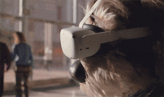 Happy Virtual Reality GIF by MetaQuest