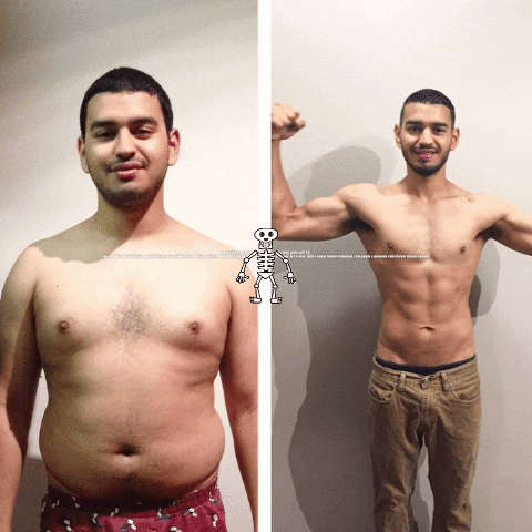 Diet GIF
