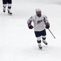 Ice Hockey GIF by USA Hockey