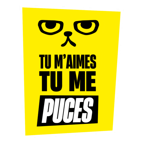 Cat Dog Sticker by Fichier National I-CAD