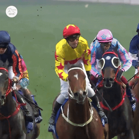 Happy Get Up GIF by World Horse Racing