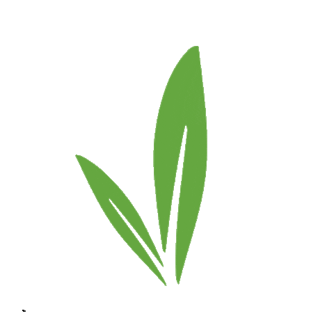 Seminare Natural Sticker