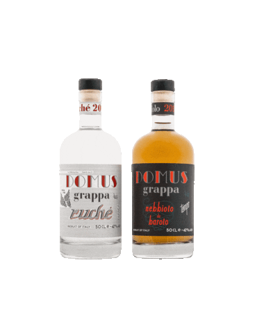 Domus Grappa Sticker