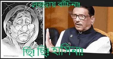 হসন GIF