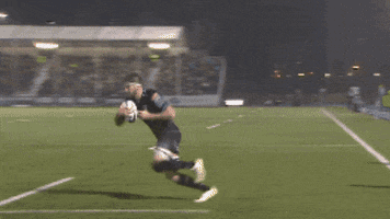 Try Ally Miller GIF by Glasgow Warriors