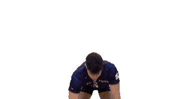 Volleyball Legrand Sticker by Reims Volley 51