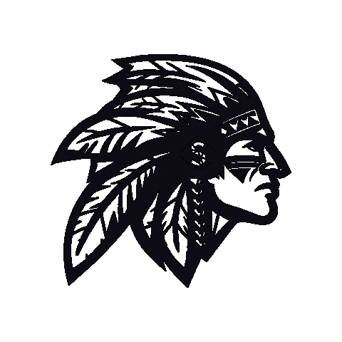 Futbol Americano Nfl Sticker by INDIANS FLAG FOOTBALL