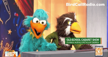 Breaking News Friends GIF