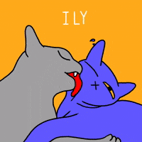 Cat Love Gifs Get The Best Gif On Giphy