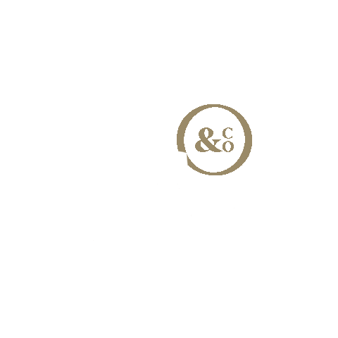 CVis & Co Sticker