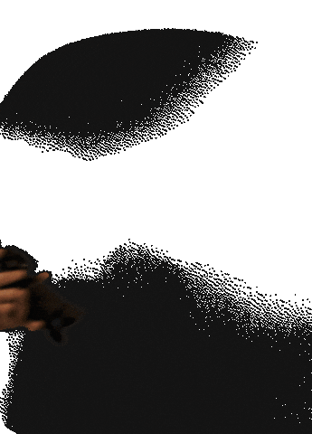 fabiovideomaker Sticker