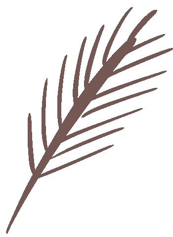 Peas and Needles Sticker