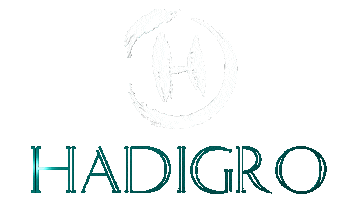 HADI GRO Sticker