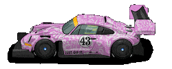 Car Racing Sticker by kneapolitan