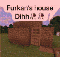 House Dirt GIF
