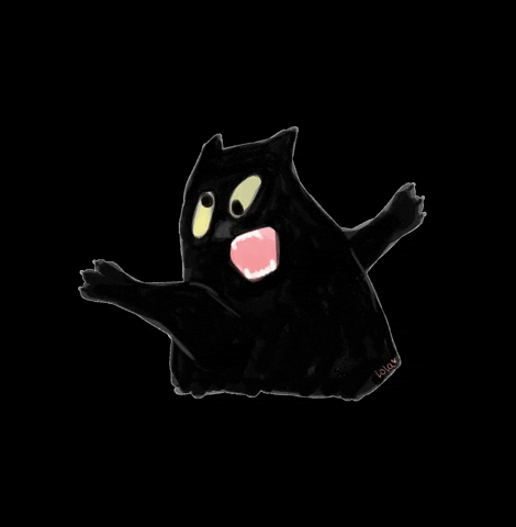 Screaming Black Cat GIF
