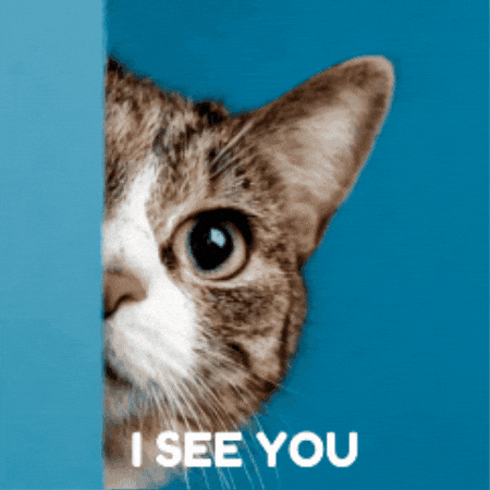 Social Media Sticker GIF