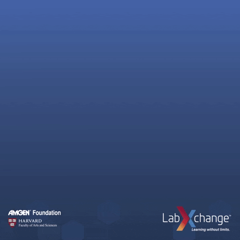 gif used in post