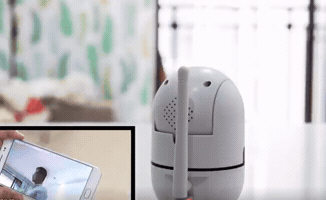 Animated GIF