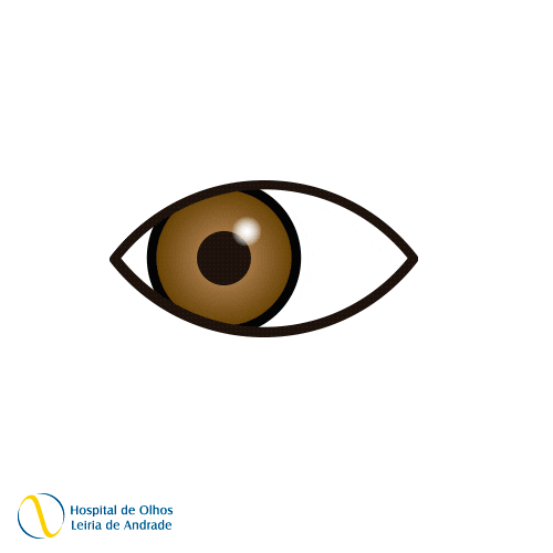 Hospital Leiria de Andrade Sticker