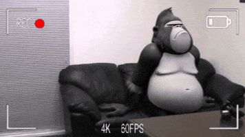 Couch Lol GIF