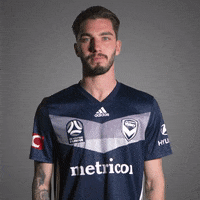 Mvfc GIF by Melbourne Victory FC