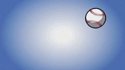 Major League Baseball Sport GIF by YES Network