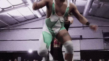 Wrestling Meditation GIF