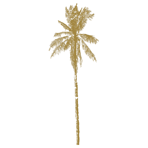 RAAW By Trice Sticker