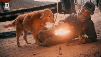 Gold Rush Dog GIF by Discovery Europe