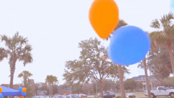 Balloons Uf GIF by University of Florida College of Education