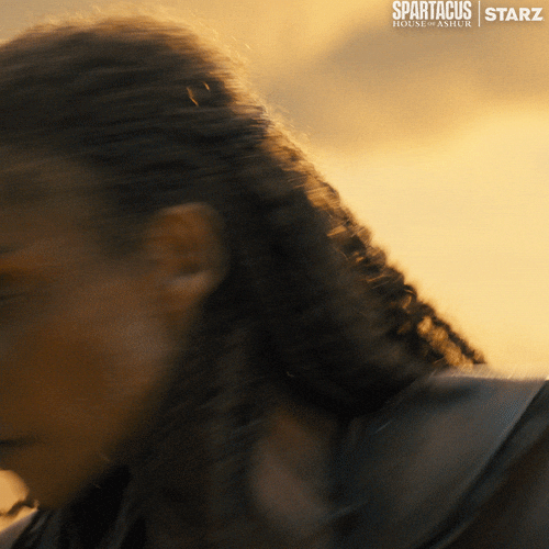 Fight Battle GIF by Spartacus