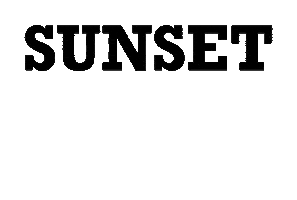 Sunset Sticker by Under Palms