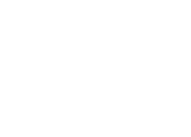 Carnaval Solsona Sticker