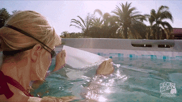 Images Pool GIF by getflexseal