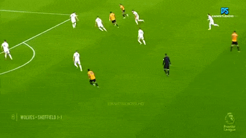 Raul Jimenez GIF