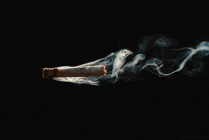 inglourious basterds smoke GIF by The Good Films