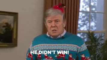 Donald Trump GIF by Sassy Justice