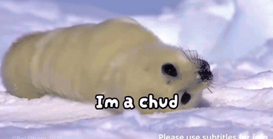 Sea Lion Seal GIF