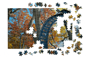 Northwestern Alumni Association GIF