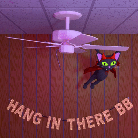 Hang In There Cat GIF by jjjjjohn - Find & Share on GIPHY