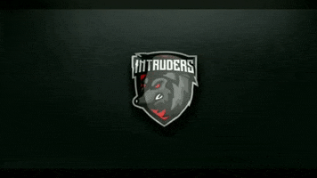 Esports GIF