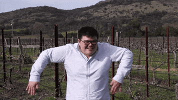 Scarecrow Dancing GIF by nakedwines.com